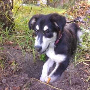 Meet your Posher, Ria